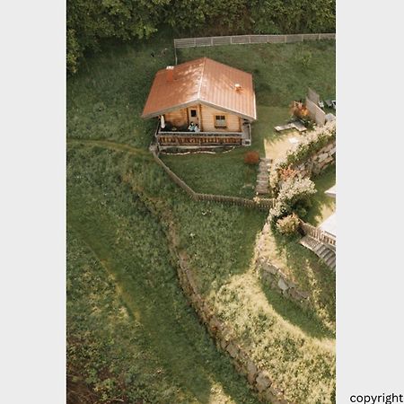Das Paradieschen Edlitz - Stilvolles Blockhaus Mit Kamin Ngoại thất bức ảnh